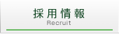 採用情報