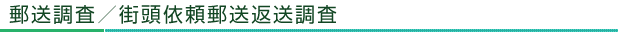 郵送調査/街頭依頼郵送返送調査
